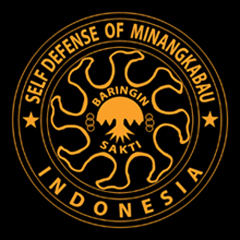 "The Only Official Logo of Harimau Pasaman Minangkabau Pencak Silat Baringin Sakti" 